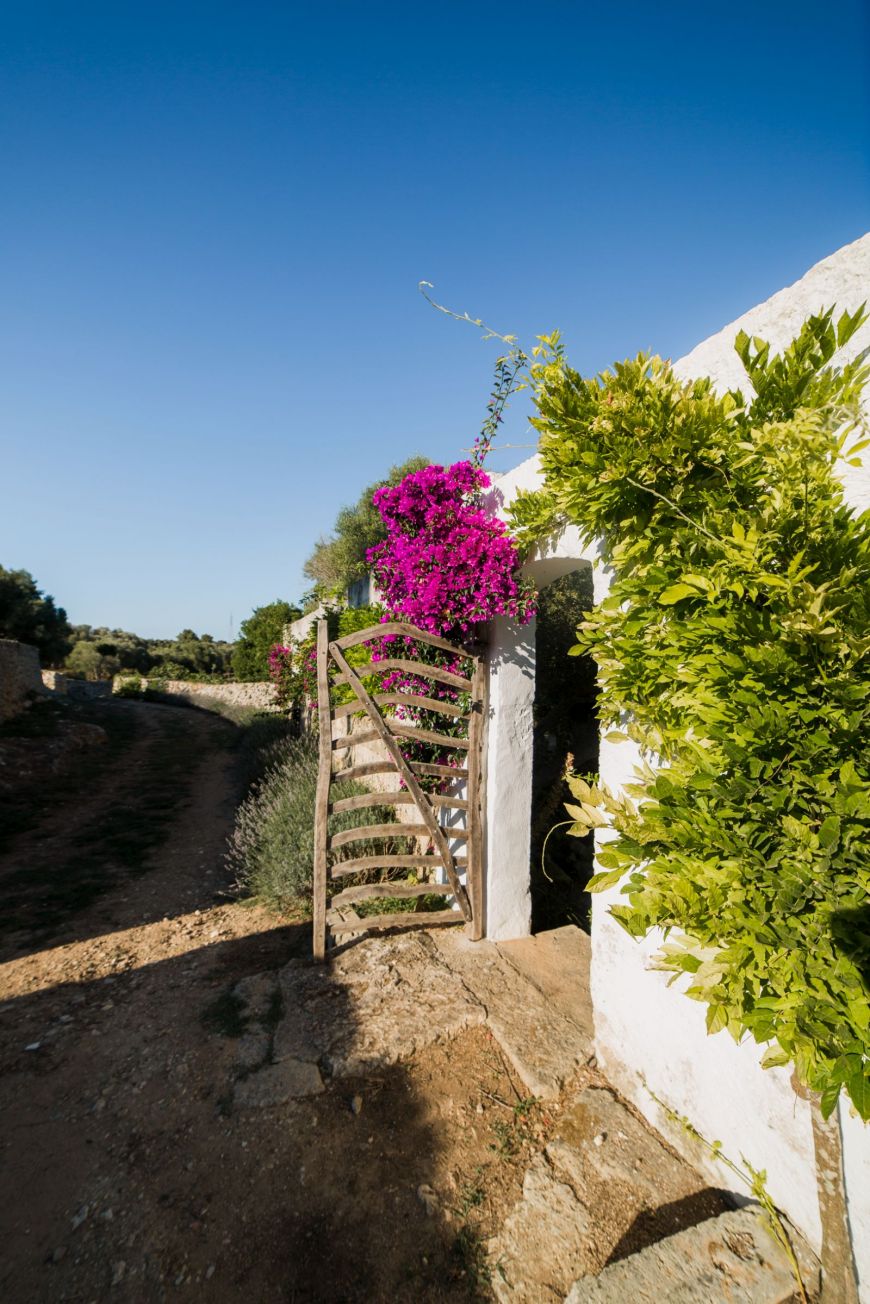 Barrera Romantico